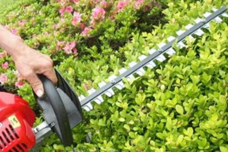 電動綠籬機刀片的價格貴嗎？